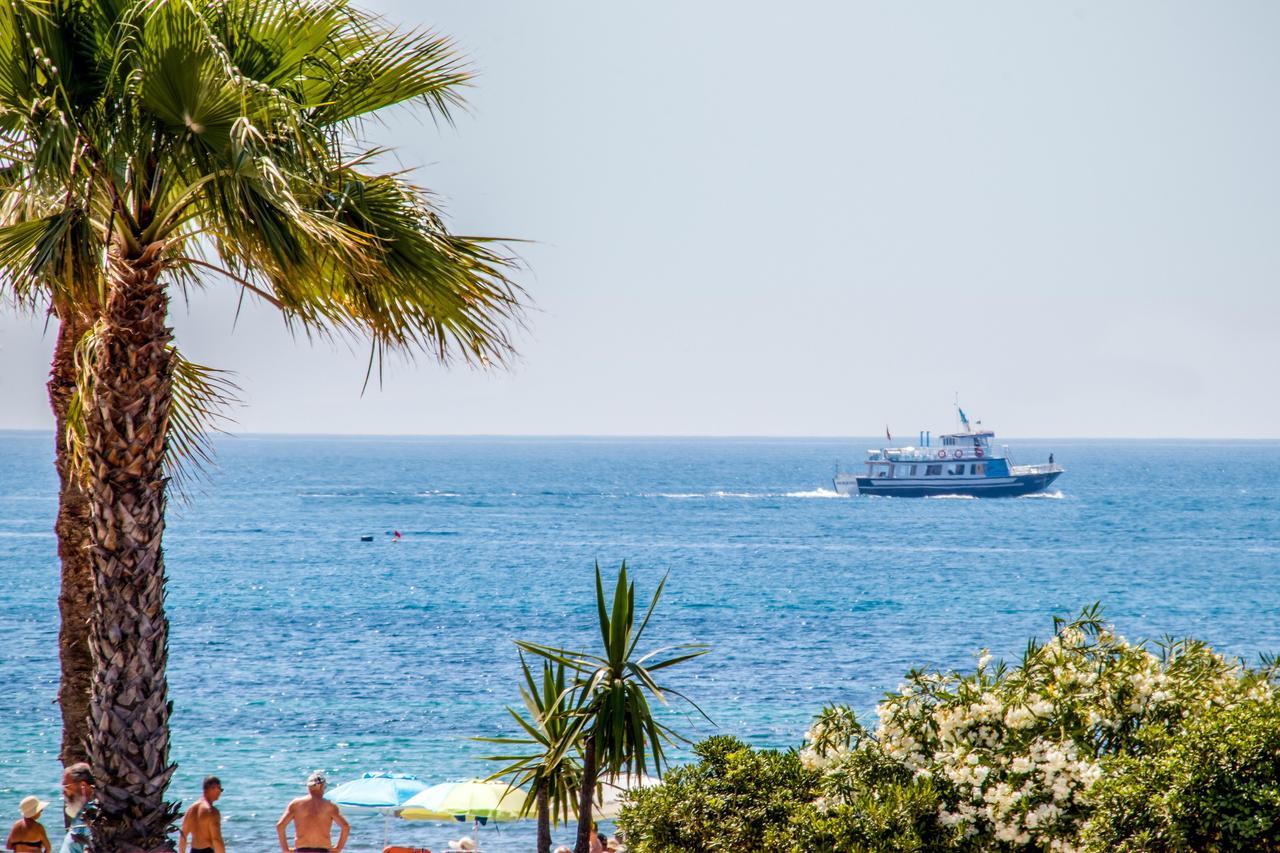 Espanatour Vega Baja Torrevieja Exteriör bild